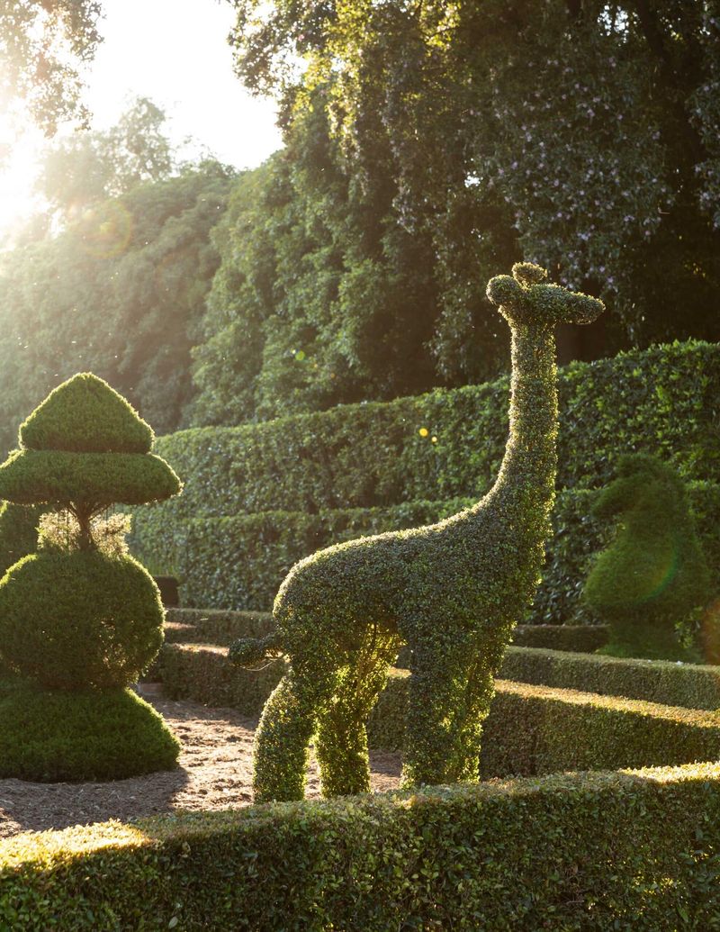 Topiary Sculptures