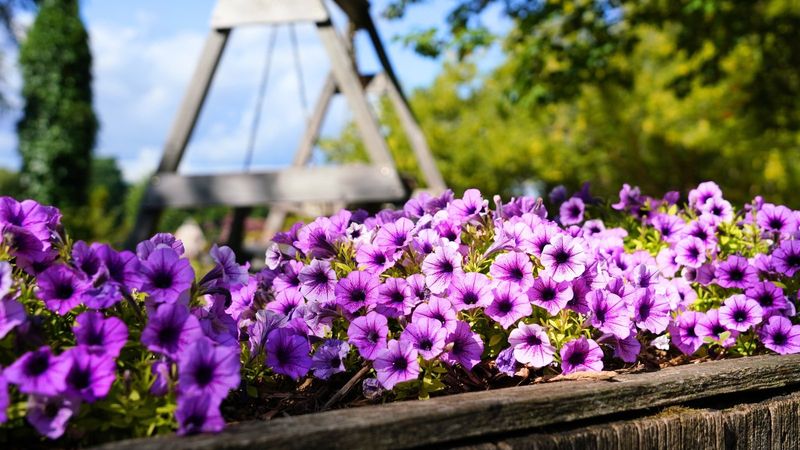 Protect from Extreme Heat (Midday Shade Helps)