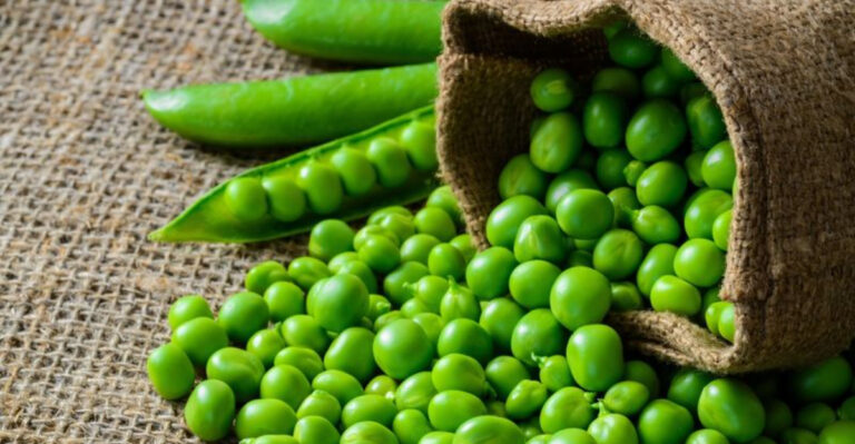The 15 Best Plant-Based Sources of Protein, Backed by Nutritionists