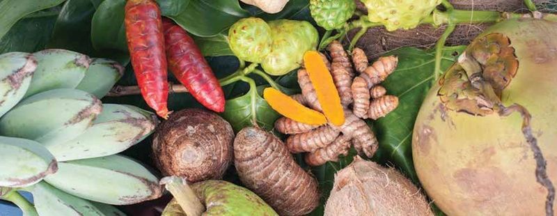 Hawaiian Canoe Plant Gardens