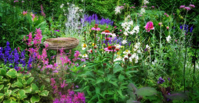 The Cottage Garden Trend Is Back—Here’s How to Nail the Look