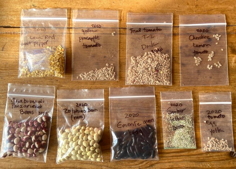 Seed Packets Were Gold — Not Just Branding