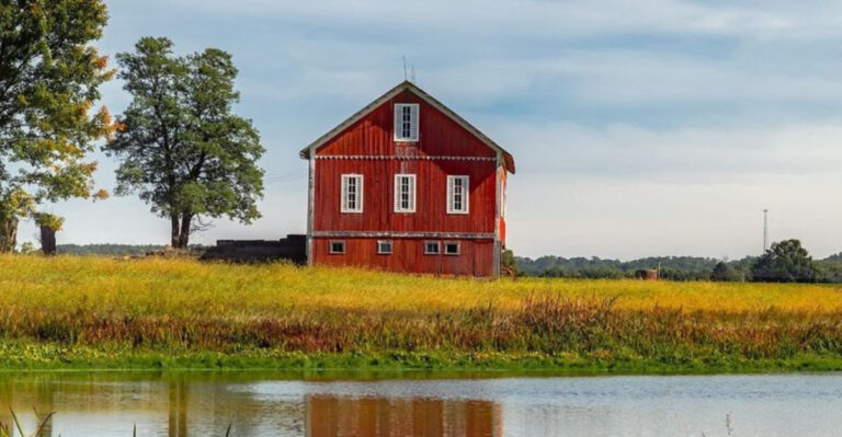 Thinking About Starting a Homestead? Ask Yourself These 15 Questions Before You Regret It