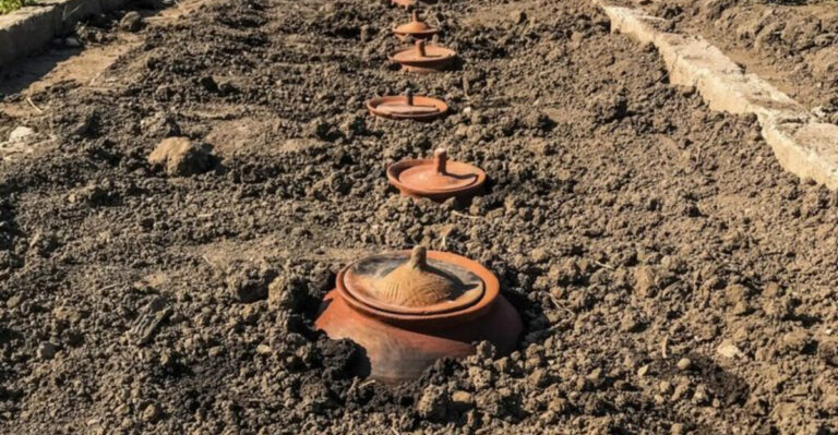 This Ancient Trick Waters Your Garden for Days—No Hoses Required!
