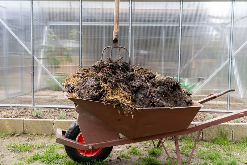Speed It Up with Manure (Rabbit, Cow, or Chicken)