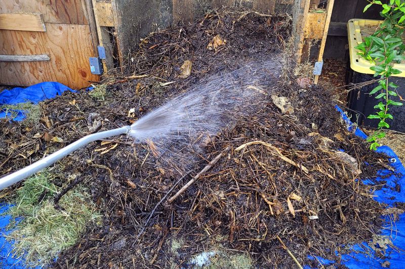 Keep It Moist (But Not Soggy)