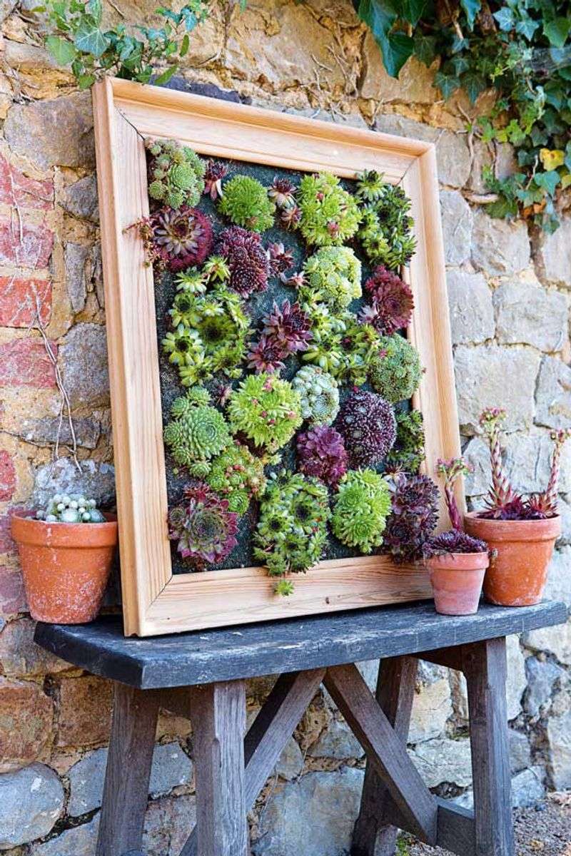 Succulent Wall Art