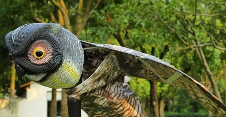 Top Tricks To Keep Birds From Building Nests Around Your Home!