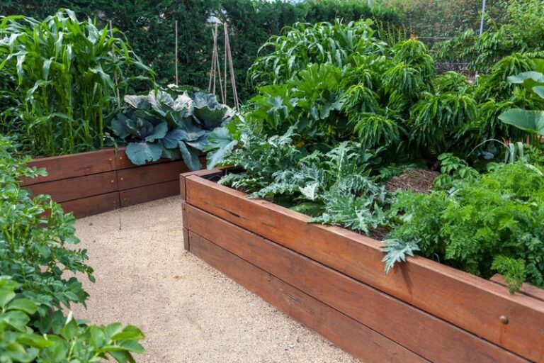 15 Essential Tips for Building and Maintaining a Raised Bed Garden ...