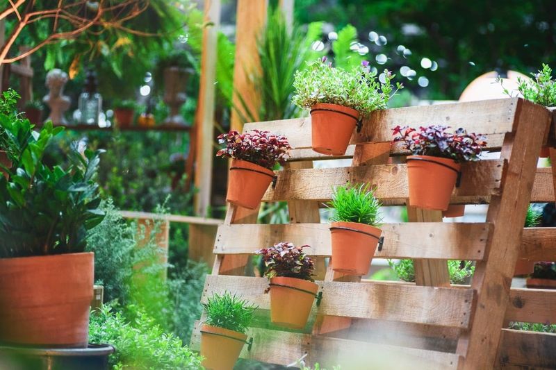Pallet Gardening