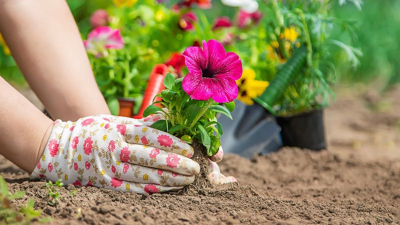 Be Patient & Consistent (They’ll Bounce Back!)