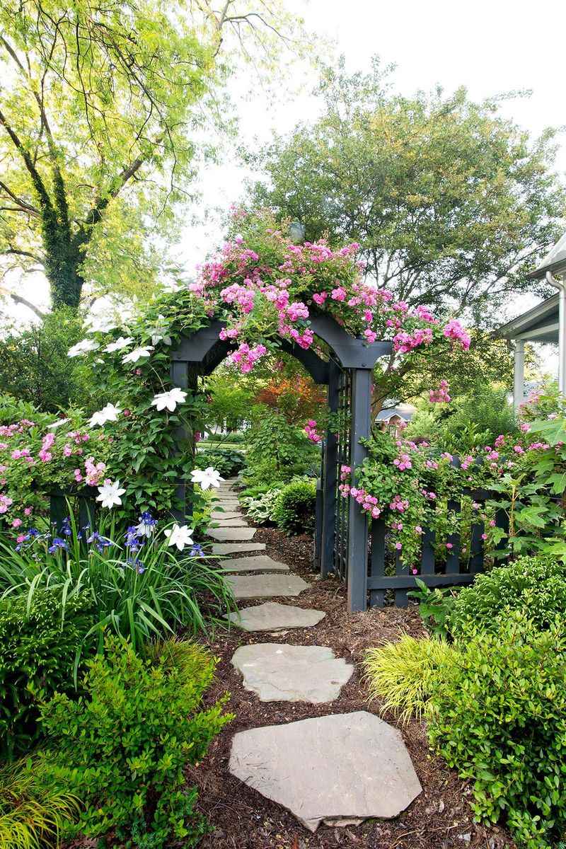 Frame Views with Colorful Arches or Trellises