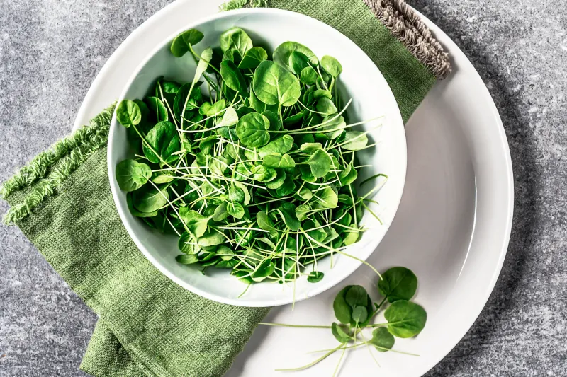 Watercress