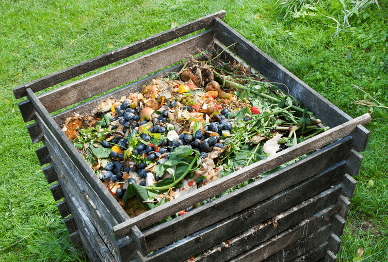 Composting for Soil Vitality