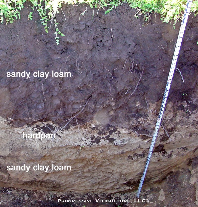 Soil Hardpan