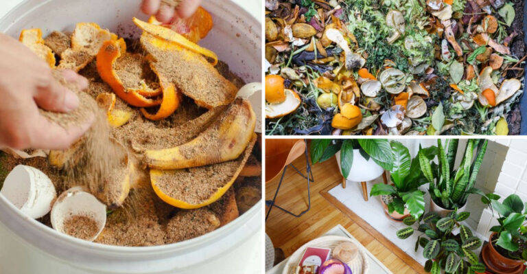 Urban Composting Without the Smell