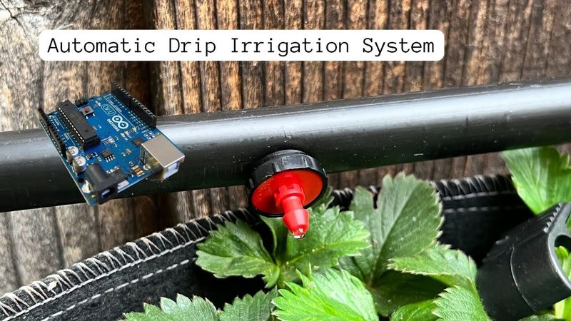 Install an Automatic Drip Irrigation System