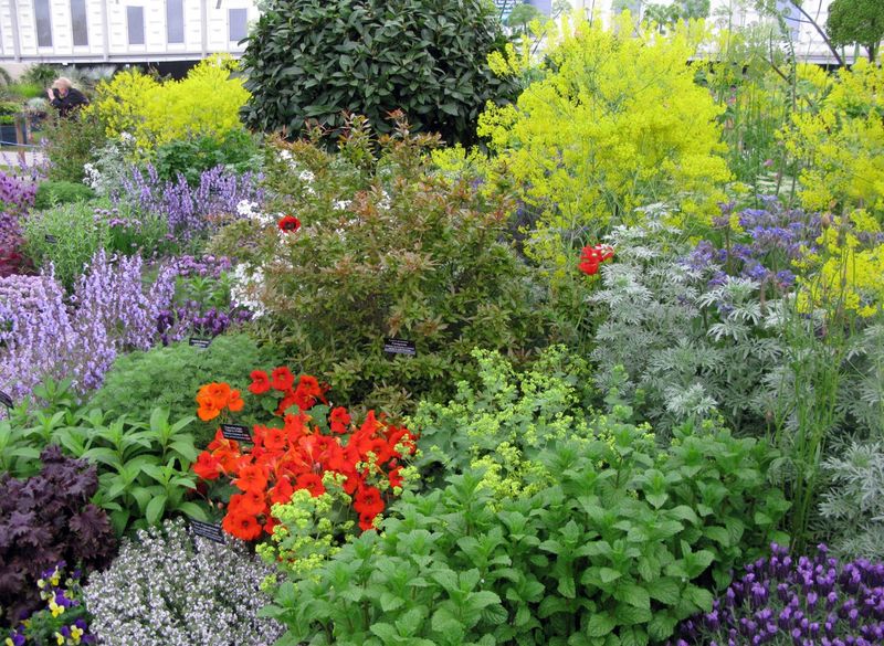 Create Aesthetic Garden Designs