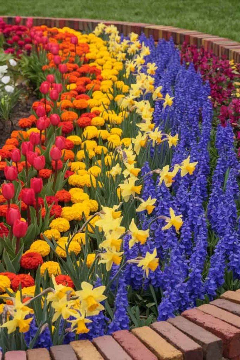 Try a Rainbow Flower Bed