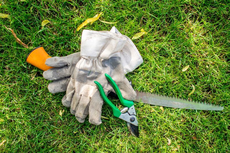Keep Garden Tools Clean