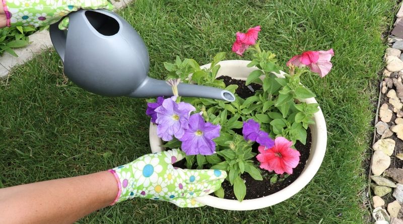 Ignoring the Weather