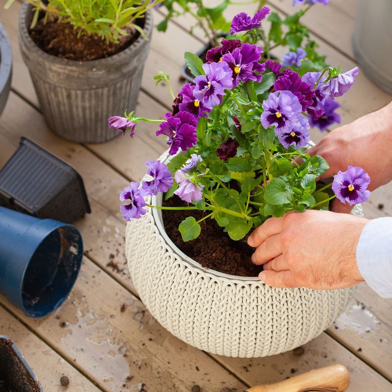 Container Gardening