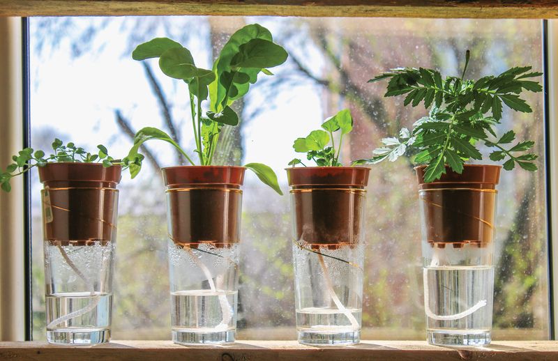 Employing Capillary Action