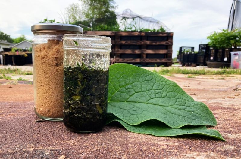 Harnessing Fermented Plant Juice