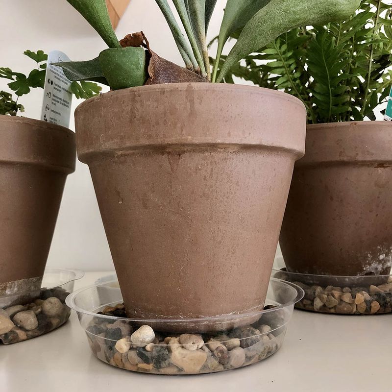 Ensuring Proper Drainage with Pebbles