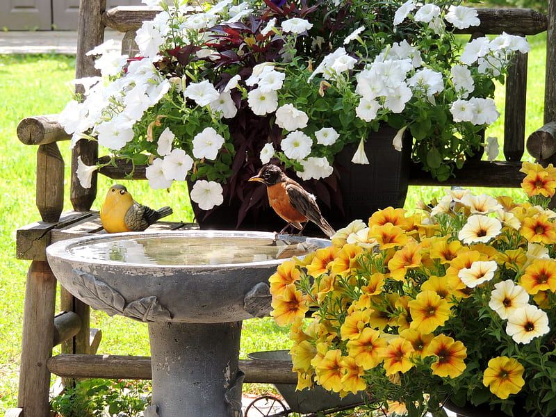 Incorporating Bird Baths