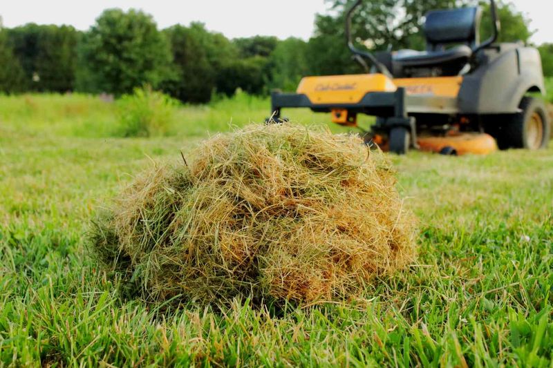 Mulching Grass Clippings