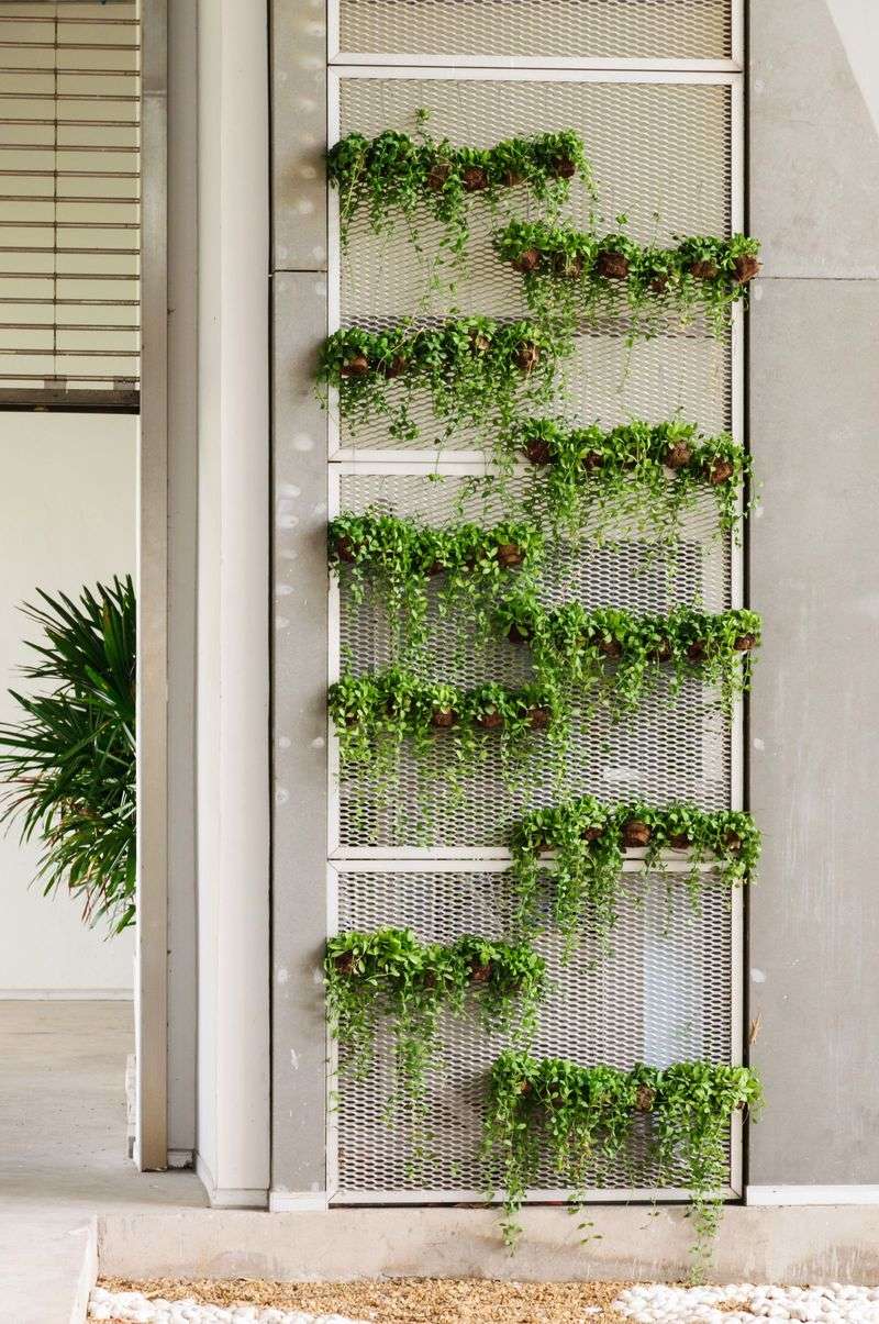 Incorporating Vertical Gardens