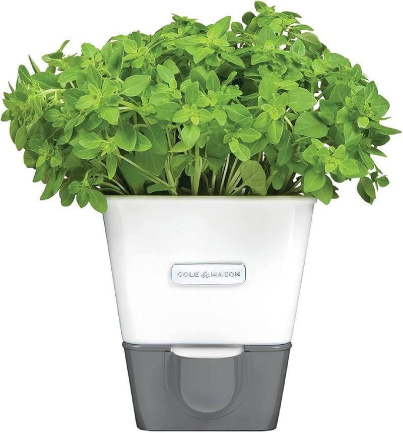 Incorporating Self-Watering Planters