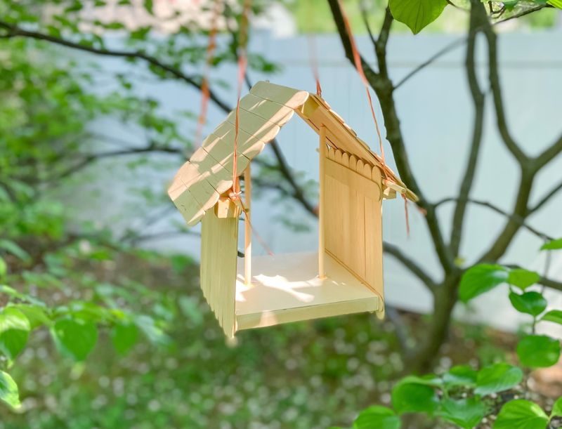 Birdhouse Building