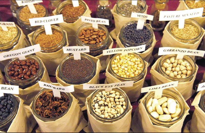 Heirloom Seed Preservation