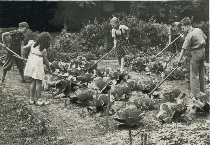 The Birth of Victory Gardens