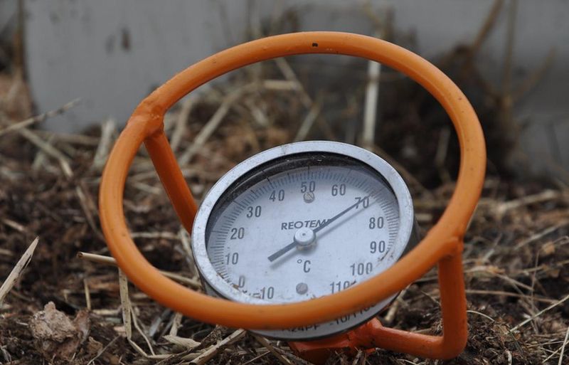 Check the Soil Temperature