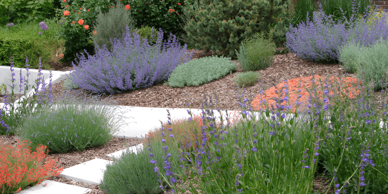 Consider Plant Position