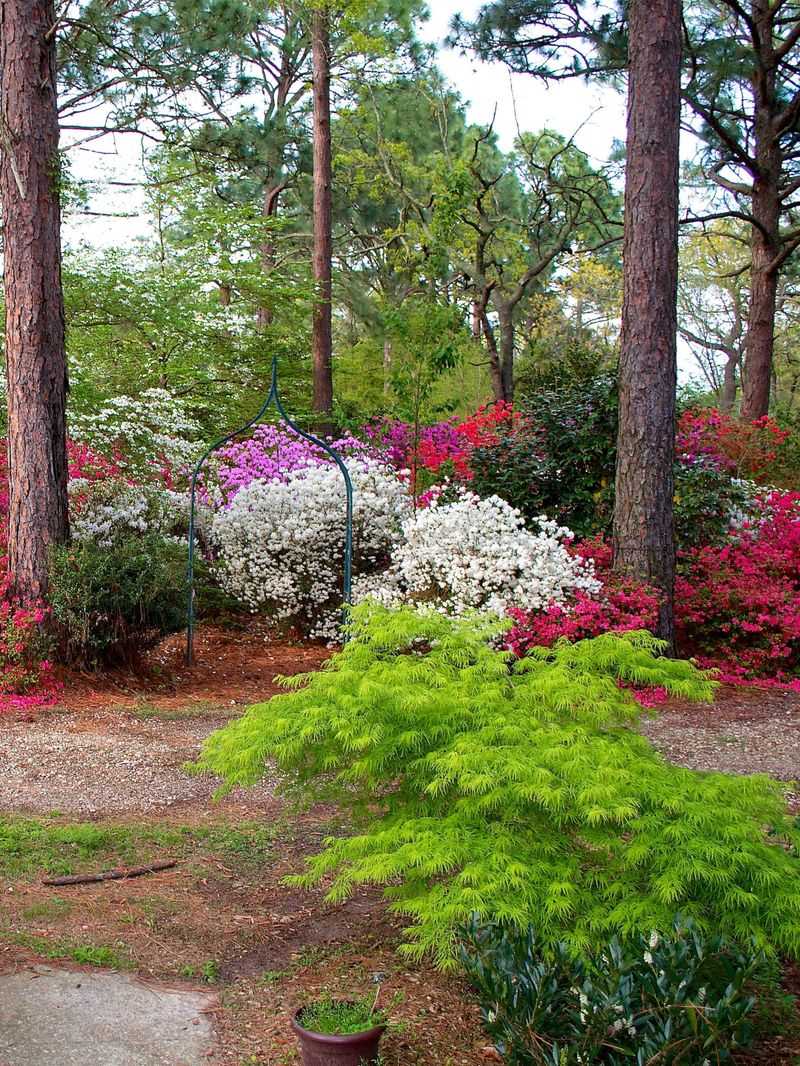 Apply Mulch to Retain Moisture