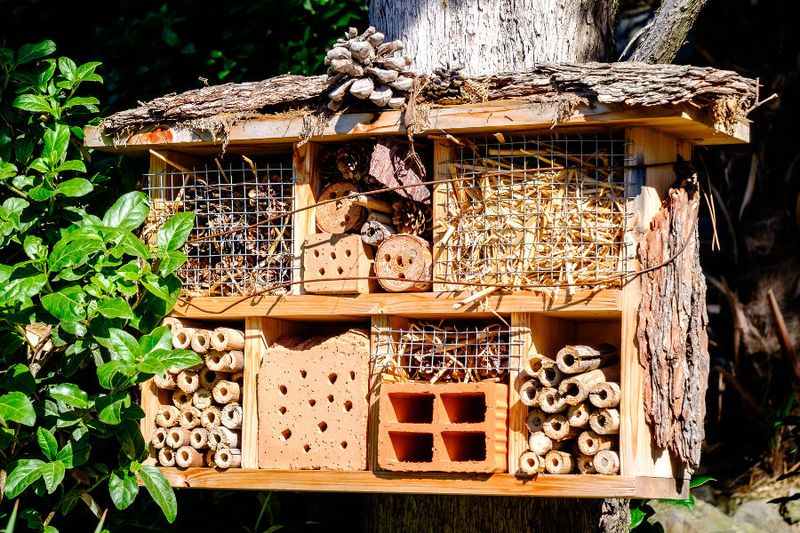 Insect Hotels