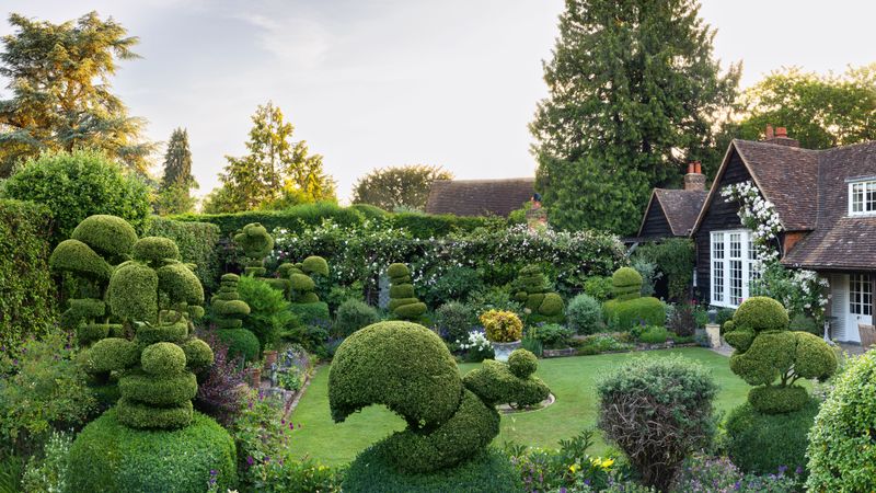 Topiary Creations