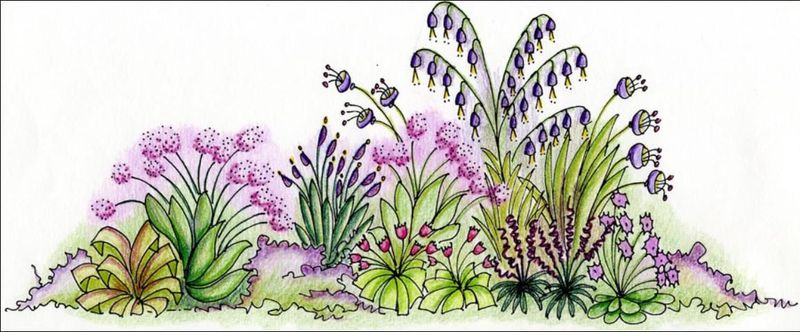 Color Dominance Balance