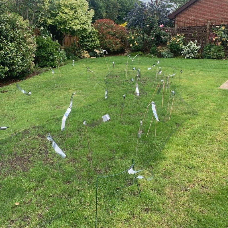 Protect Seeds from Birds