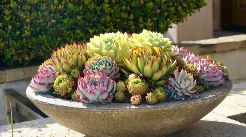 Provide Adequate Light