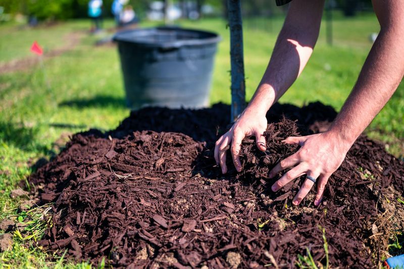 Use Mulch to Retain Moisture