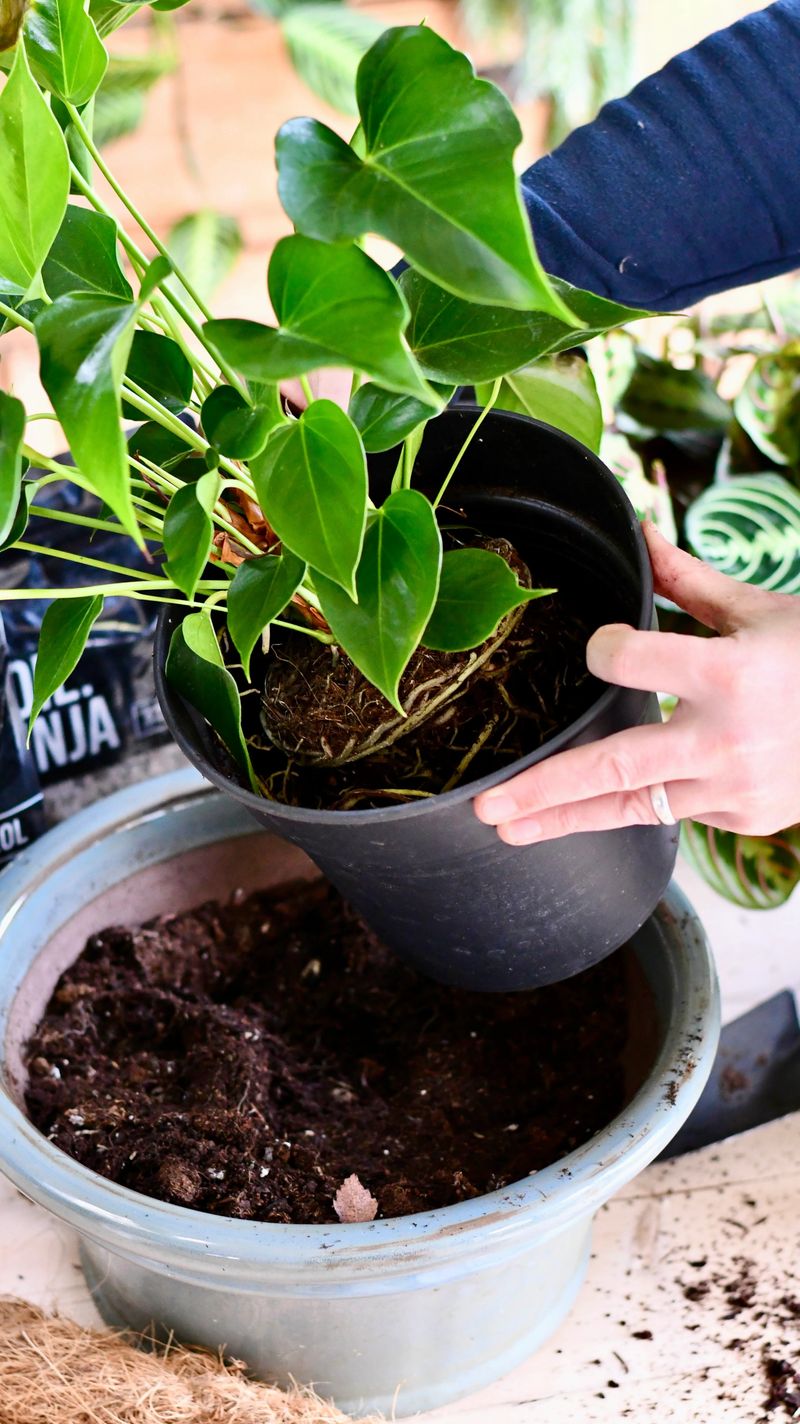 Acclimatizing to New Surroundings