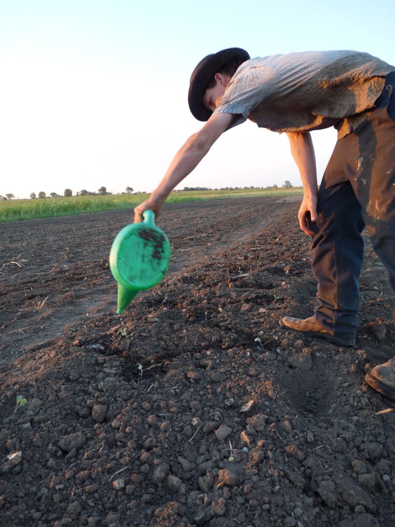 Work With the Seasons—Not Against Them