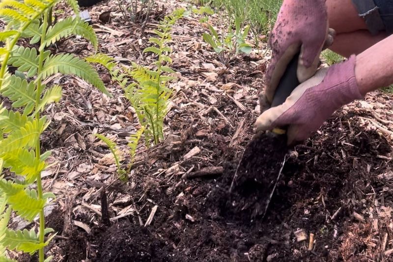 Neglecting Soil Type