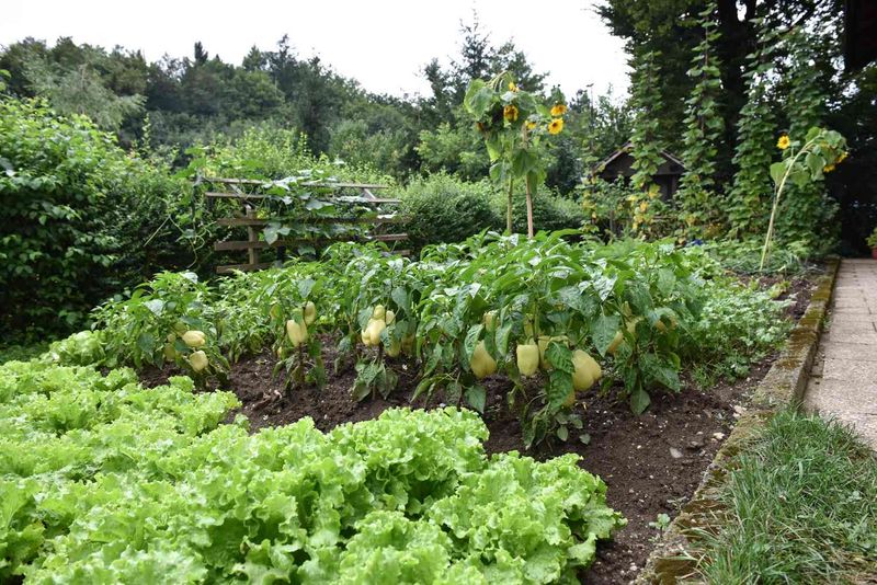 First Quarter Action