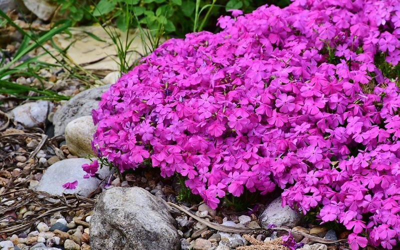 Water During Dry Spells